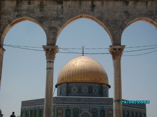 البائكة الشمالية | فلسطيننا