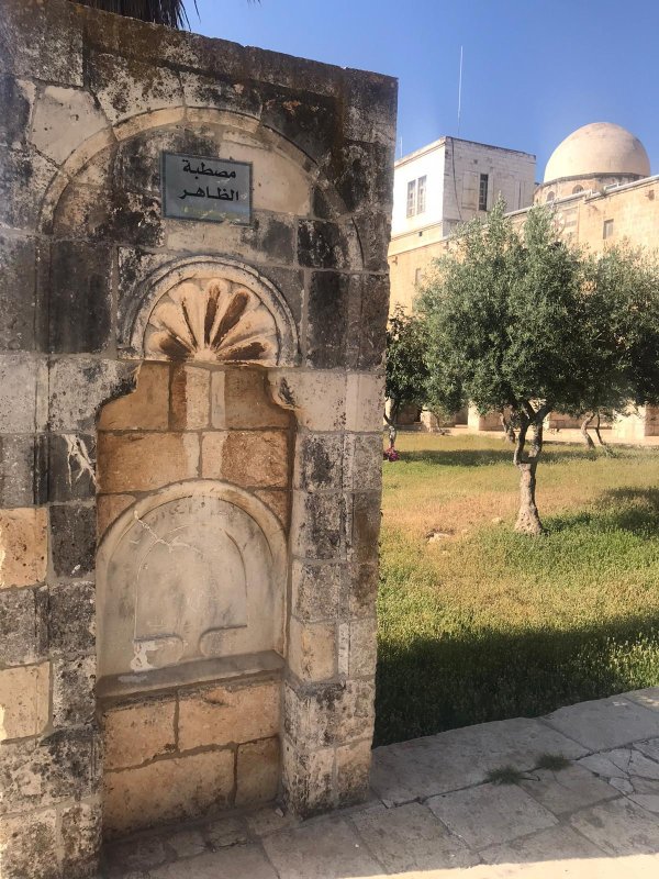 مِصطَبَةُ الظاهر | فلسطيننا