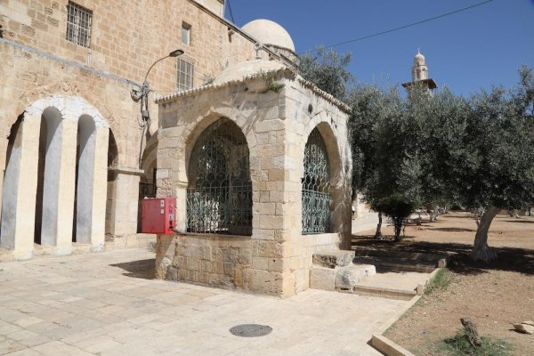 سبيل البصيري | فلسطيننا