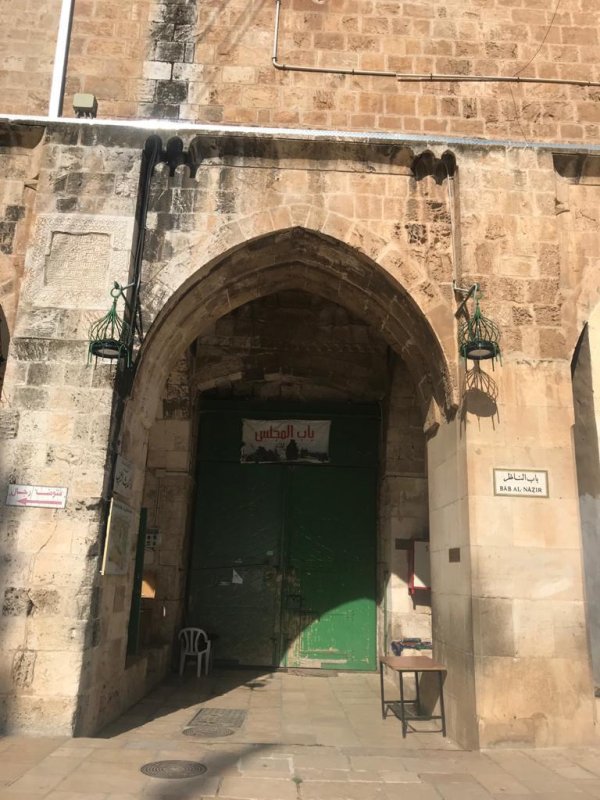 باب الناظر | فلسطيننا