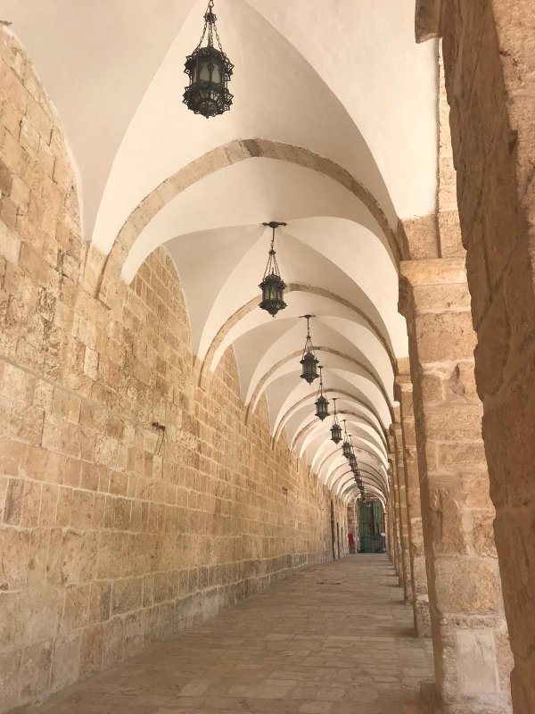الرواق الغربي | فلسطيننا
