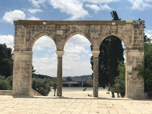 البائكة الجنوبية الشرقية | فلسطيننا