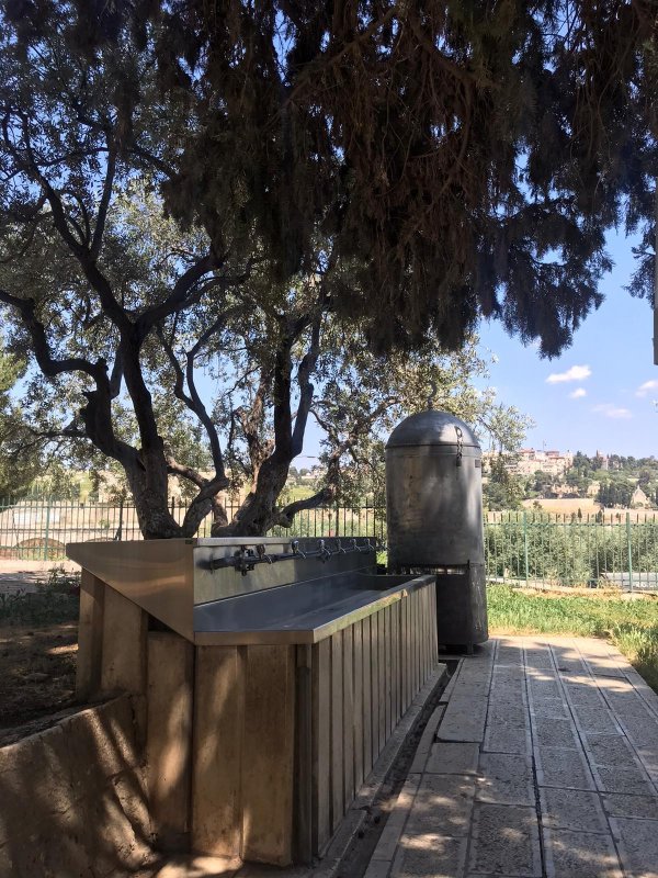 سبيل الرحمة | فلسطيننا