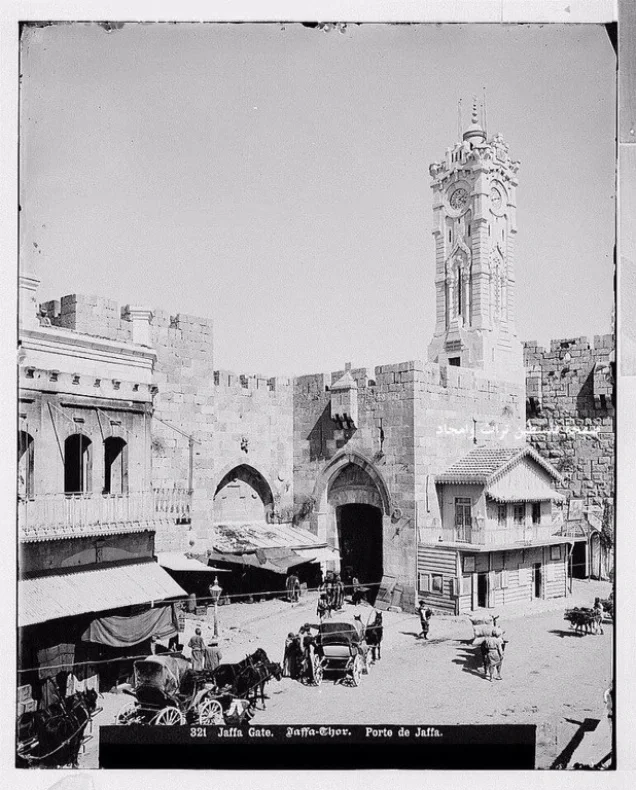  | Our Palestine