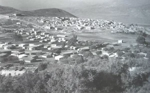 قرية هونين المهجرة | فلسطيننا