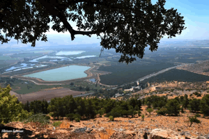 Al-Buwayziyya | Our Palestine