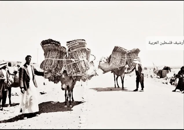 عرب الزبيد | فلسطيننا عرب الزبيد | فلسطيننا