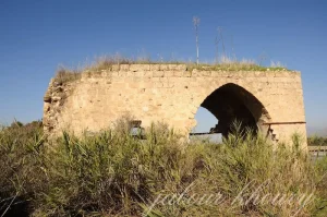 Tulayl | Our Palestine