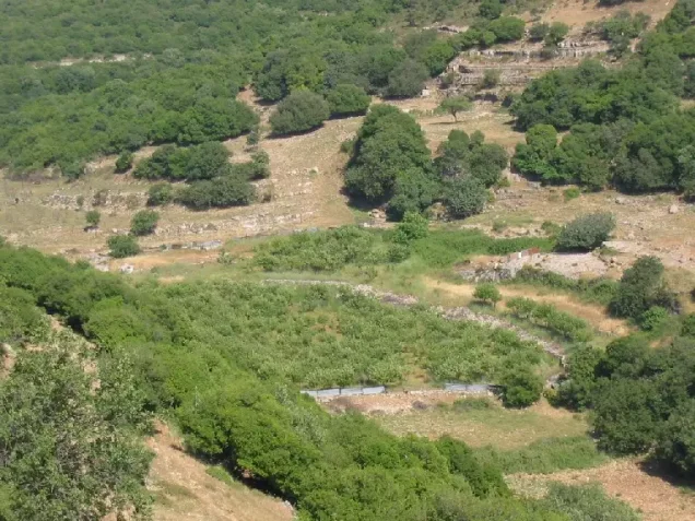 غباطية | فلسطيننا غباطية | فلسطيننا