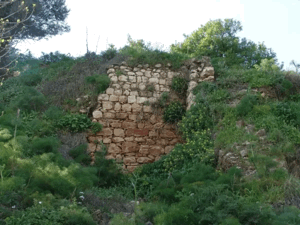 Mughr al-Khayt | Our Palestine