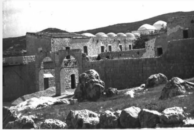 ميرون | فلسطيننا ميرون | فلسطيننا