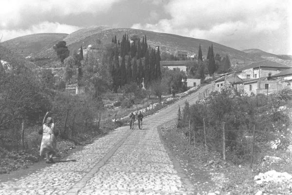 الجاعونه | فلسطيننا الجاعونه | فلسطيننا