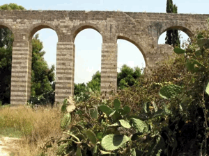 Al-Kabri | Our Palestine
