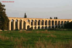 Al-Sumayriyya | Our Palestine