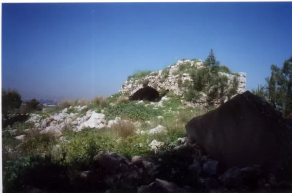قولة / قولية | فلسطيننا قولة / قولية | فلسطيننا