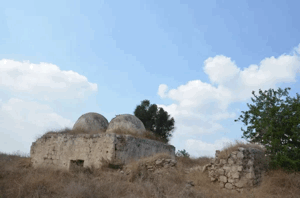 Dayr Tarif | Our Palestine