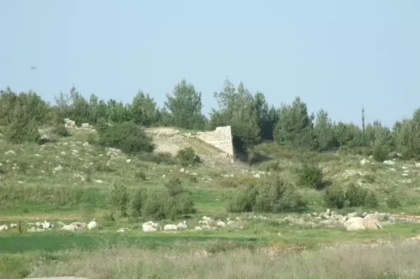  | Our Palestine