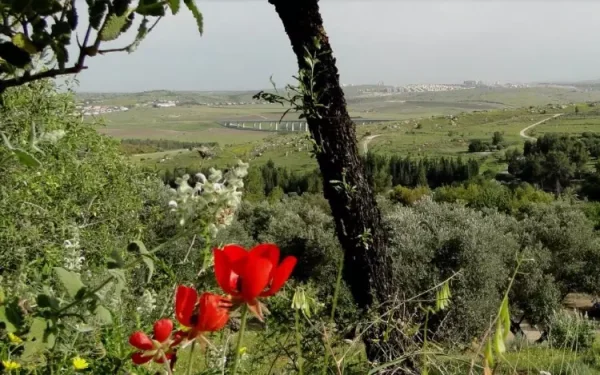 خربة البويرة | فلسطيننا خربة البويرة | فلسطيننا