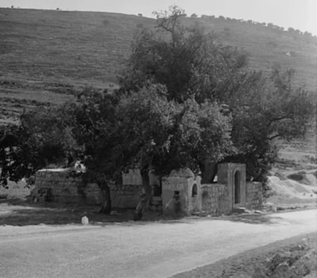 دير أيوب | فلسطيننا دير أيوب | فلسطيننا