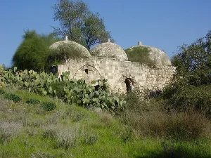 بشيت | فلسطيننا