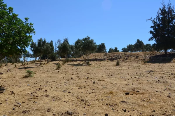 ادنبة | فلسطيننا ادنبة | فلسطيننا