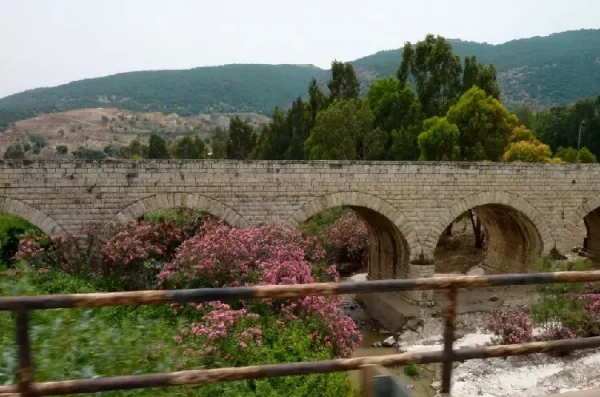الجلمة | فلسطيننا الجلمة | فلسطيننا