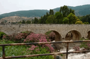 Al-Jalama (Haifa) | Our Palestine
