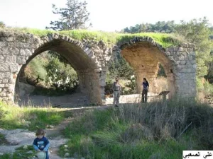 'Ayn Ghazal | Our Palestine