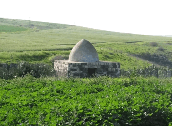 قرية دنه / دنا / دانا المهجرة | فلسطيننا