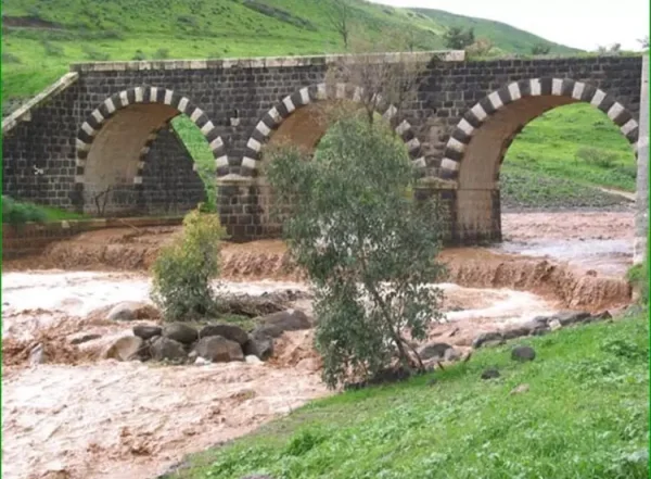 زبعة | فلسطيننا زبعة | فلسطيننا