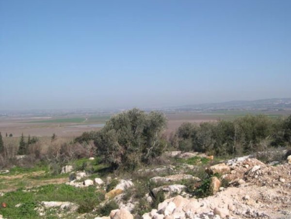 عين المنسي | فلسطيننا عين المنسي | فلسطيننا