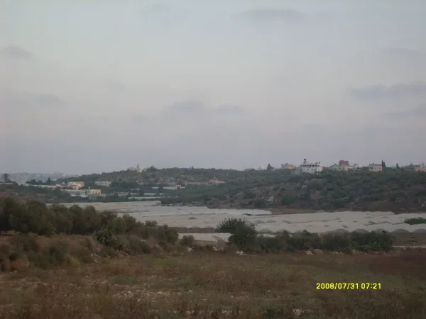 رمل زيتا او خربة قزازة | فلسطيننا رمل زيتا او خربة قزازة | فلسطيننا