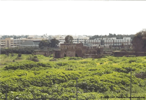 Bayyarat Hannun | Our Palestine