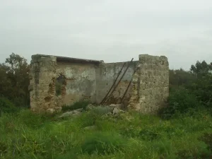 Khirbat al-Zababida Depopulated Village | Our Palestine