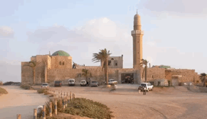 Al-Haram (Sayyidna 'Ali) | Our Palestine
