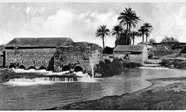 المر ( المحمودية ) | فلسطيننا المر ( المحمودية ) | فلسطيننا
