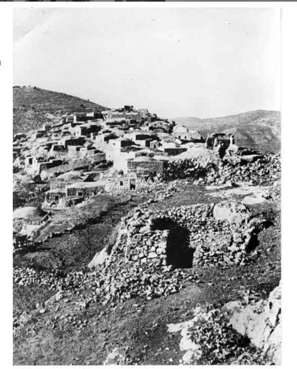 Kasla | Our Palestine Kasla | Our Palestine