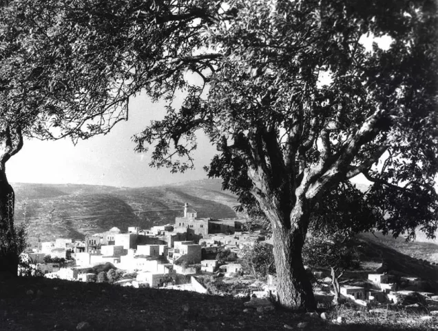المالحة | فلسطيننا المالحة | فلسطيننا