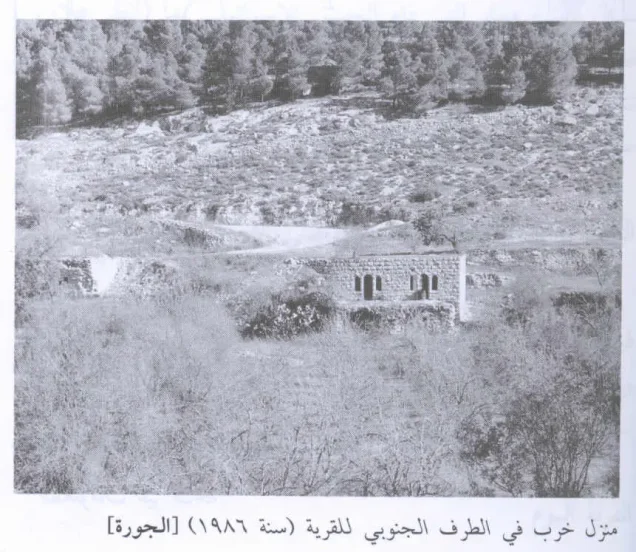 الجورة | فلسطيننا الجورة | فلسطيننا