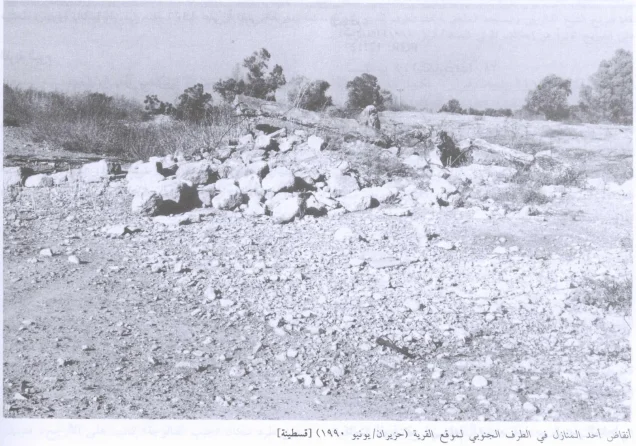 قسطينة | فلسطيننا قسطينة | فلسطيننا