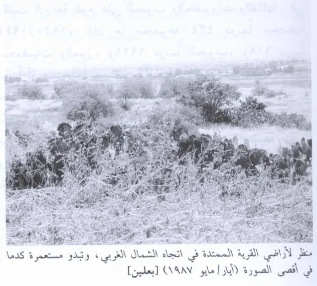 بعلين | فلسطيننا بعلين | فلسطيننا