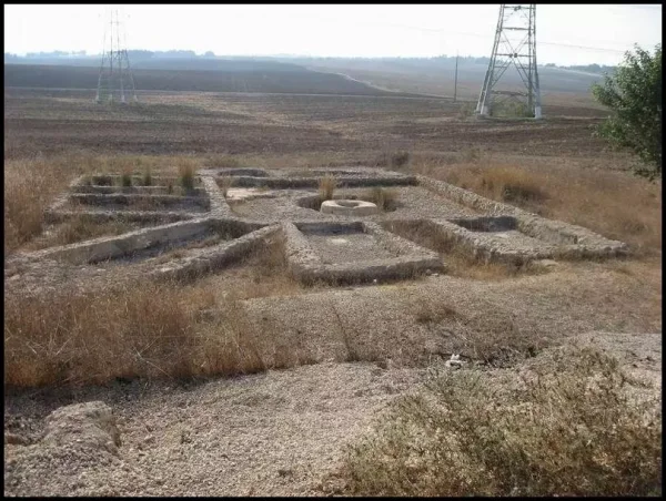 عبدس | فلسطيننا عبدس | فلسطيننا