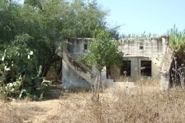 نعليا | فلسطيننا نعليا | فلسطيننا