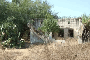 Ni'ilya | Our Palestine
