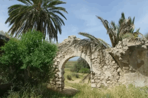 Bayt Tima | Our Palestine