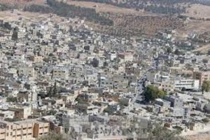 مخيم سوف | فلسطيننا