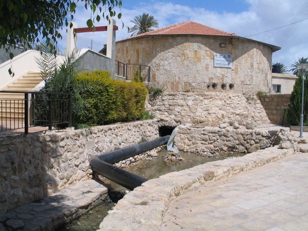 | Our Palestine