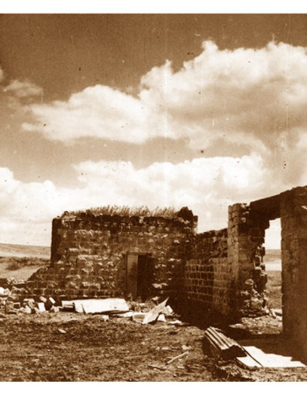 Shatta | Our Palestine