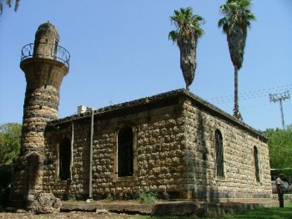 الخالصة | فلسطيننا الخالصة | فلسطيننا