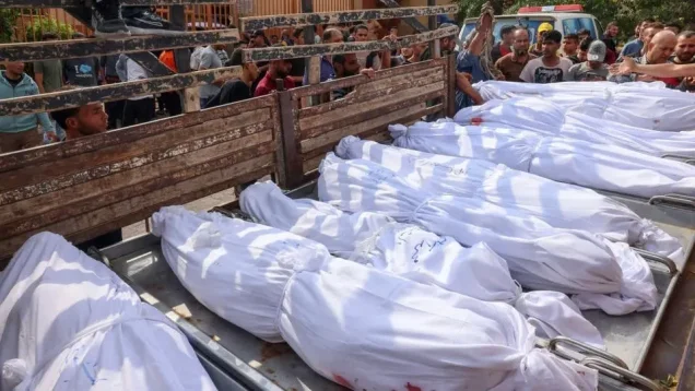 مجزرة عائلة أبو عودة | فلسطيننا مجزرة عائلة أبو عودة | فلسطيننا